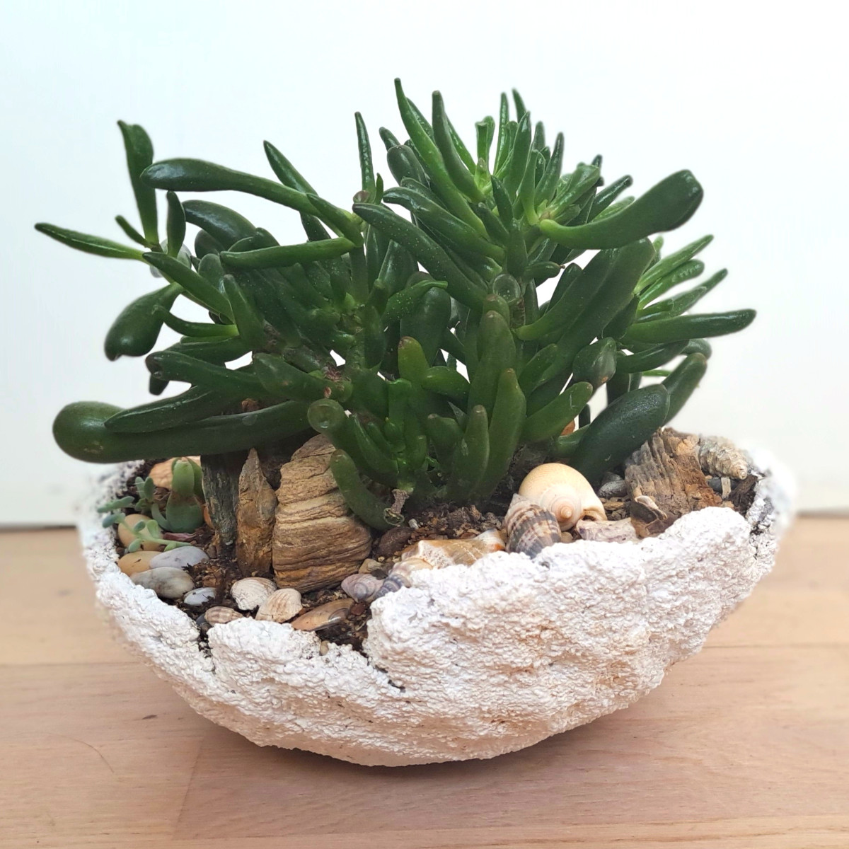 Flower pot.