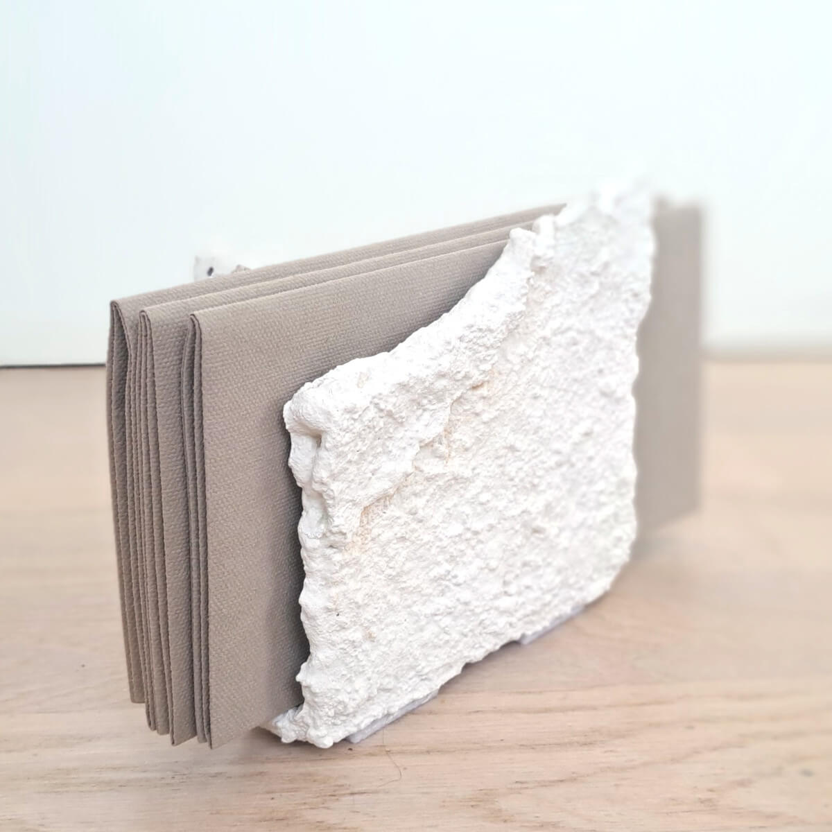 Napkin holder.