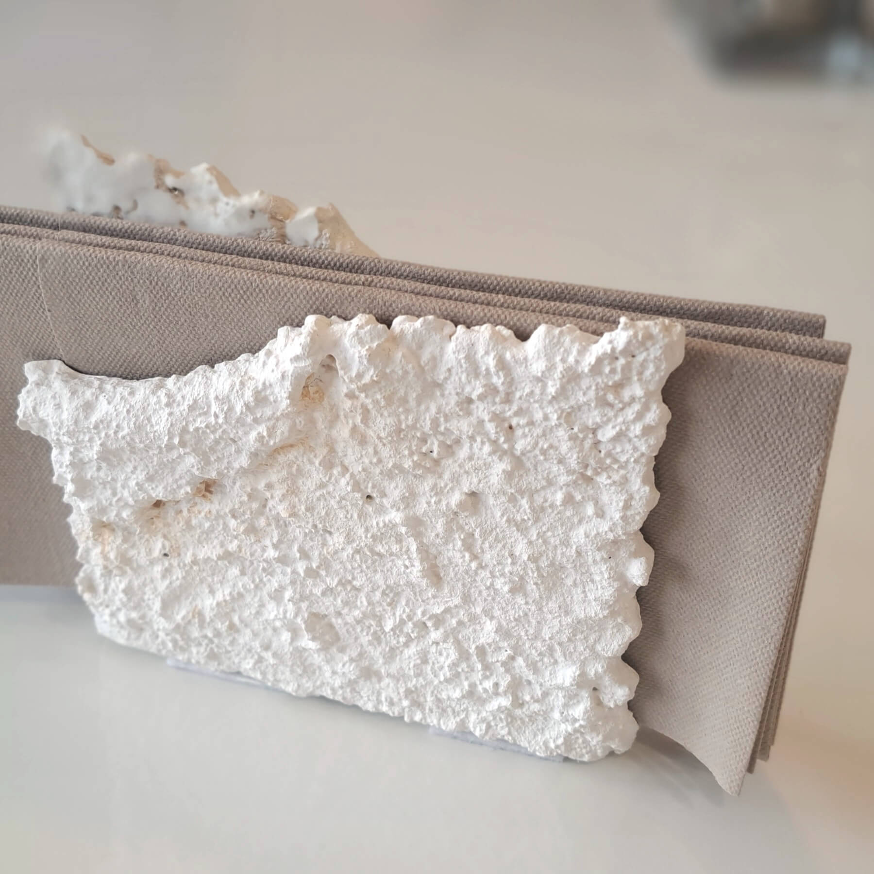 Napkin holder.