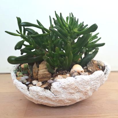 A flower pot made out of hobby concrete.