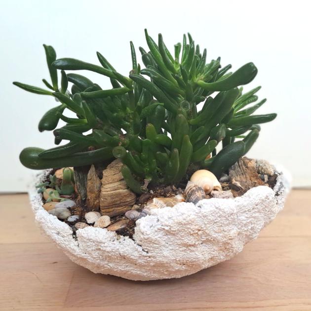 Flower pot.