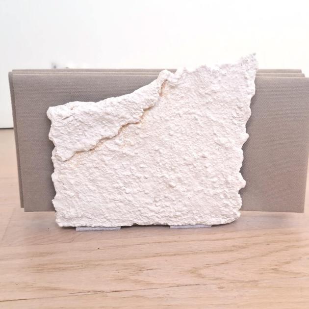 Napkin holder.