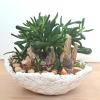 Flower pot.