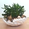 Flower pot.