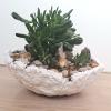Flower pot.